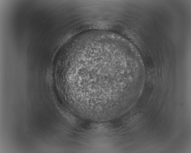 X0000073450679200608181239