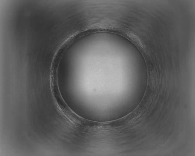 X0000073450680200608181239