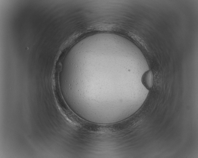 X0000073450682200608181239