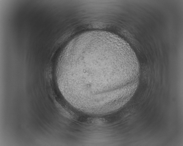 X0000073450683200608181239