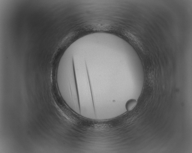 X0000073450686200608181239