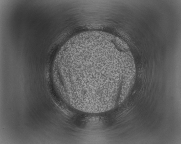 X0000073450687200608181239