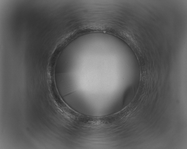 X0000073450688200608181239