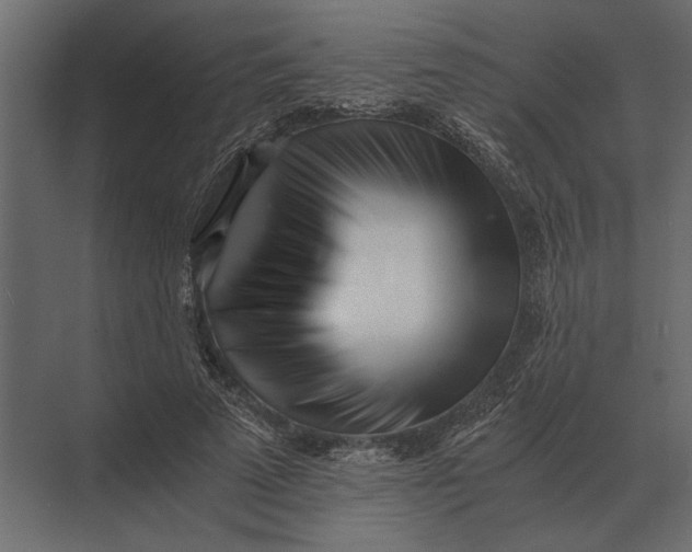 X0000073450689200608181239