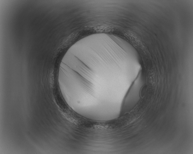 X0000073450690200608181239