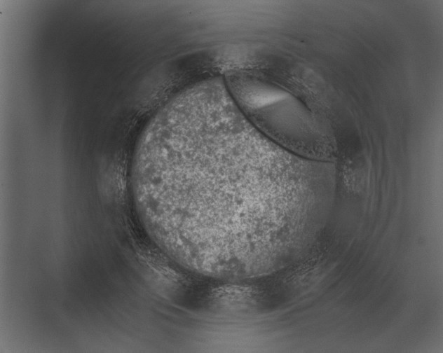 X0000073450691200608181239