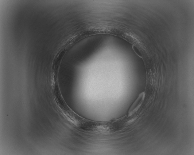 X0000073450692200608181239