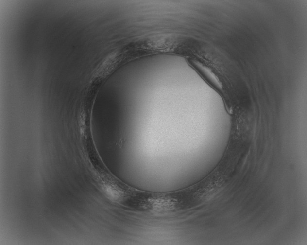 X0000073450693200608181239