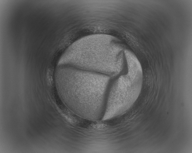 X0000073450695200608181239