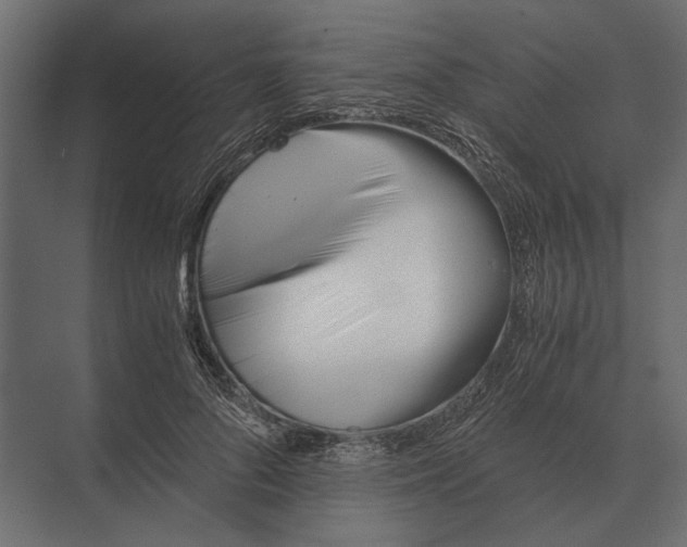 X0000073450696200608181239