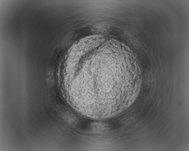 X0000073450699200608181239