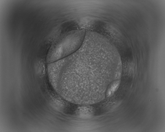 X0000073450703200608181239