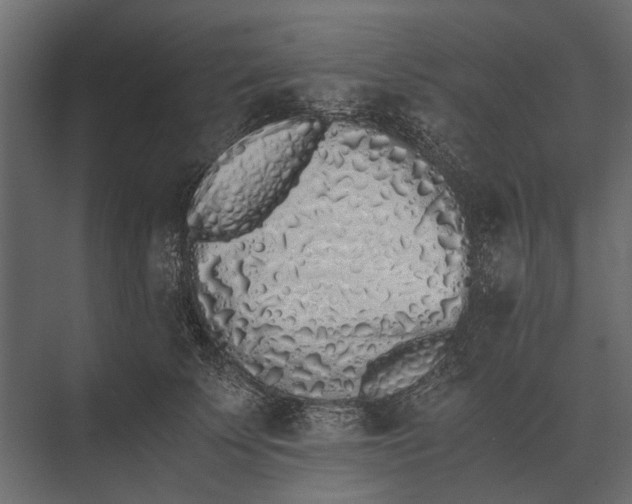 X0000073450707200608181239