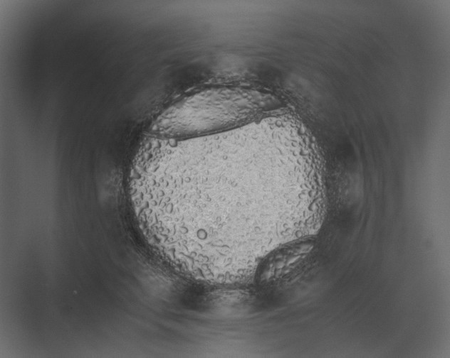 X0000073450711200608181239