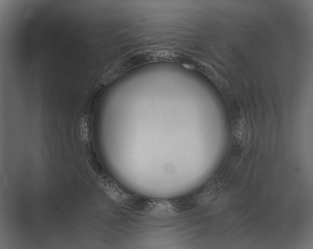 X0000073450715200608181239