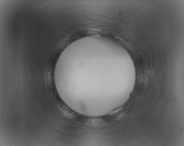 X0000073450716200608181239