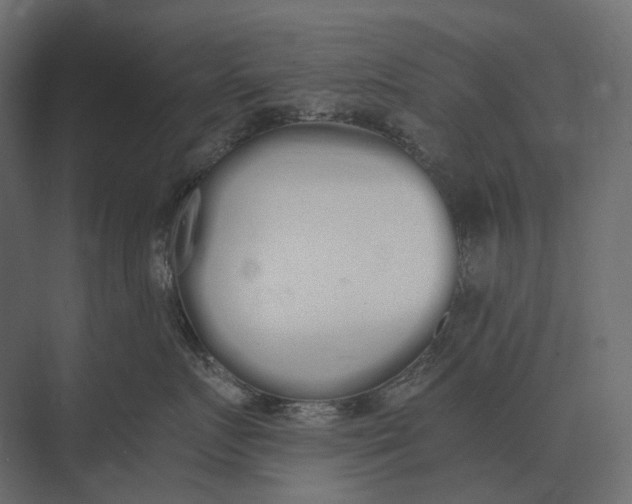 X0000073450719200608181238