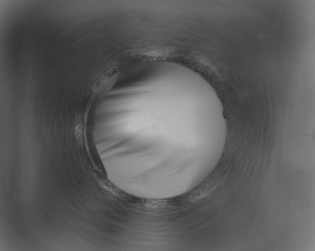 X0000073450720200608181238