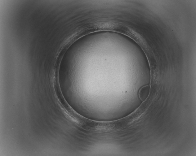 X0000073450725200608181238