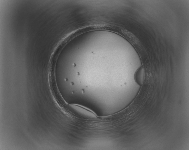 X0000073450728200608181238