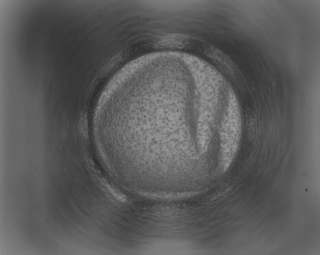 X0000073450729200608181238