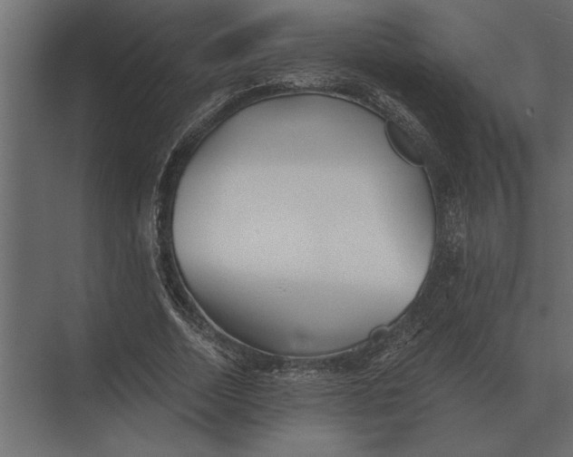 X0000073450730200608181238