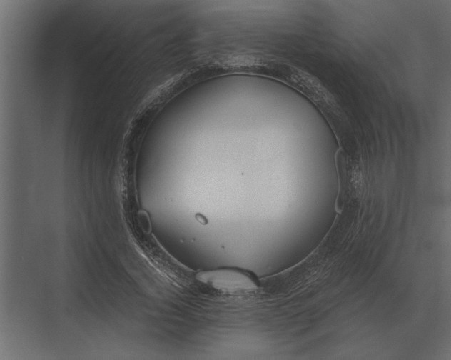 X0000073450732200608181238