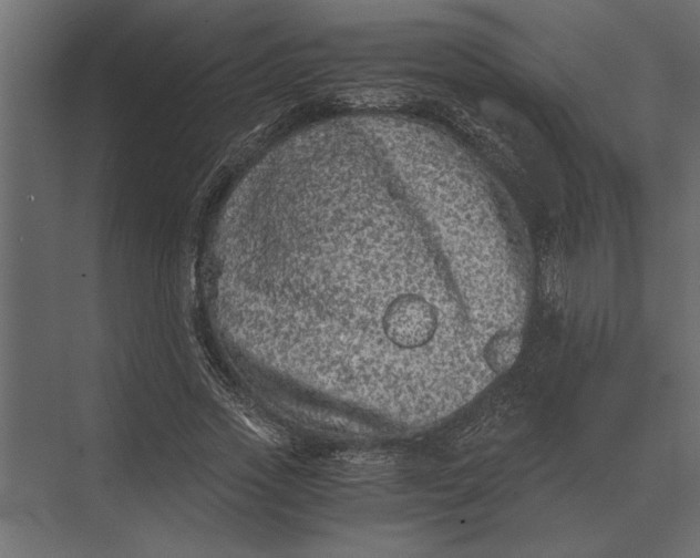 X0000073450733200608181238