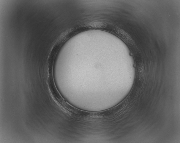 X0000073450734200608181238