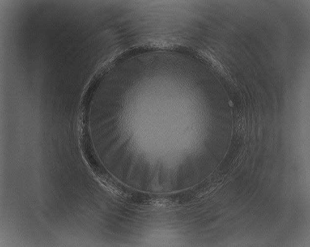 X0000073450736200608181238