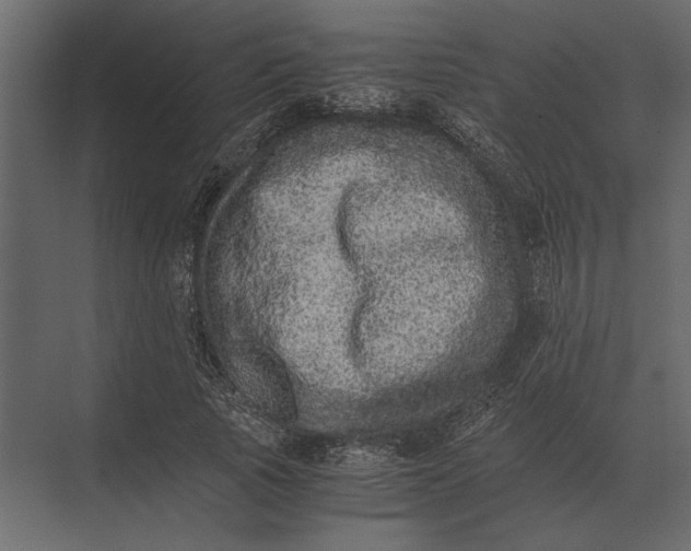 X0000073450737200608181238