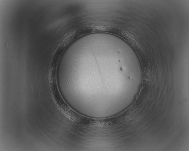 X0000073450738200608181238