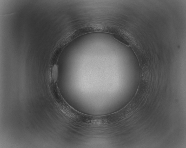 X0000073450740200608181238