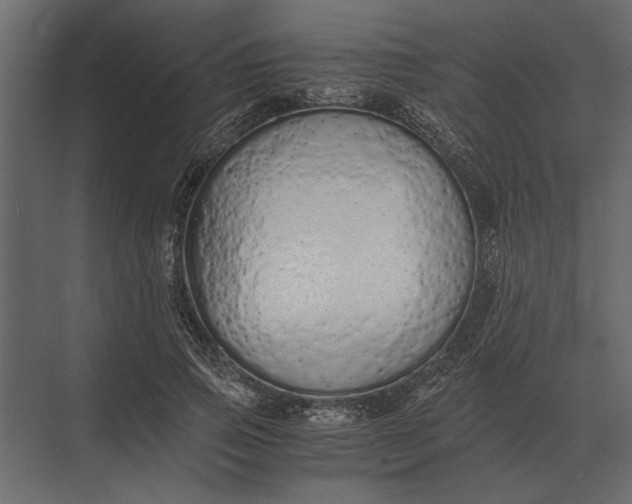 X0000073450741200608181238