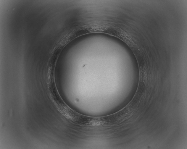 X0000073450742200608181238