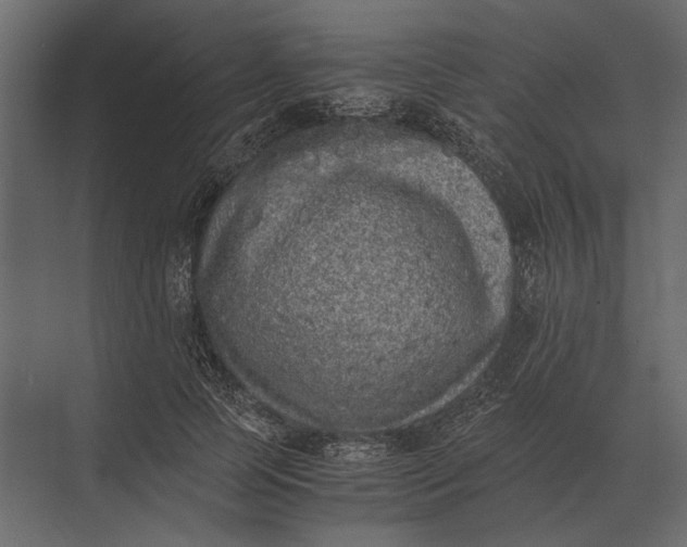 X0000073450745200608181238