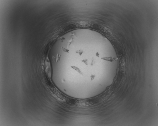 X0000073450746200608181238