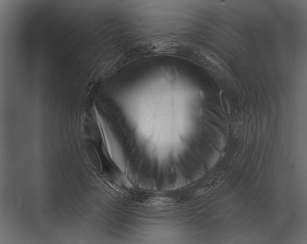 X0000073450748200608181238