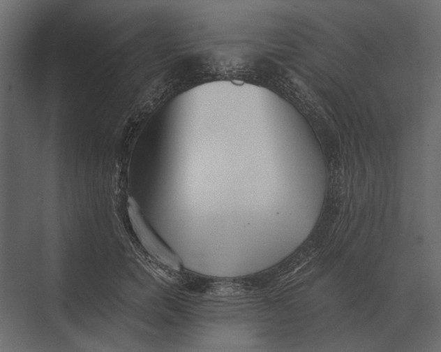 X0000073450750200608181238