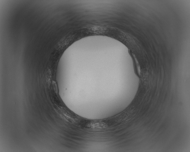 X0000073450752200608181238