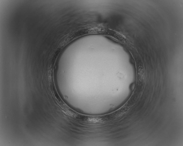 X0000073450753200608181238