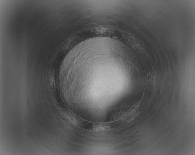 X0000073450754200608181238