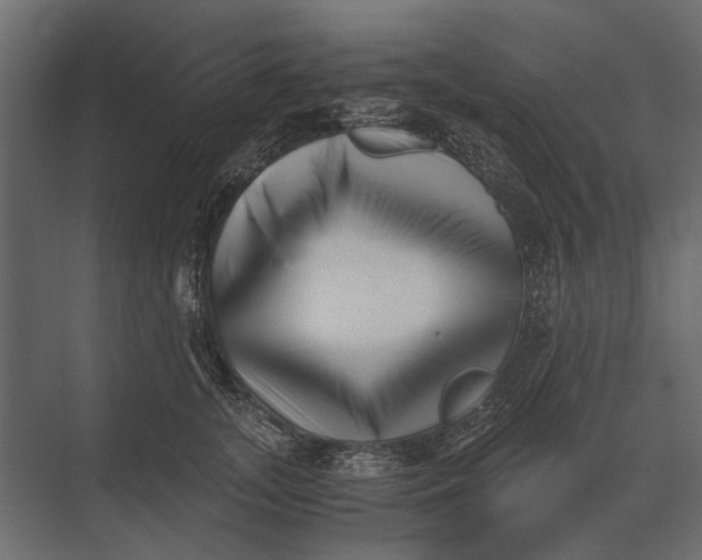 X0000073450755200608181238