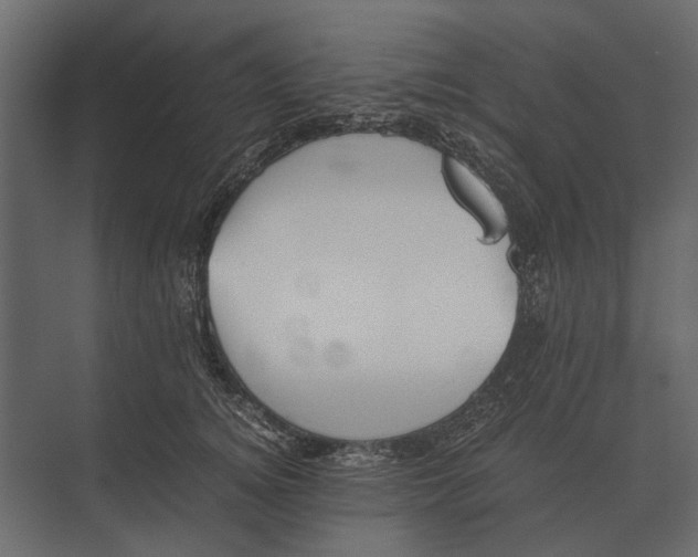 X0000073450756200608181238