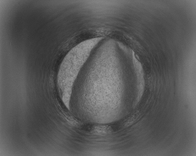 X0000073450757200608181238