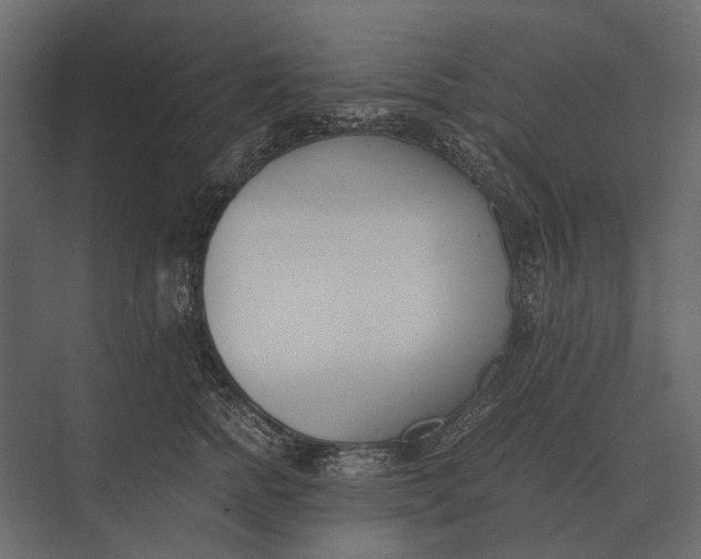 X0000073450758200608181238