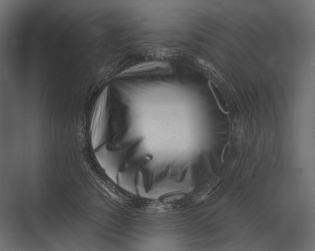 X0000073450760200608181238