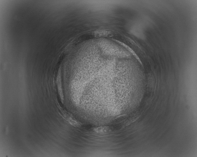 X0000073450761200608181238