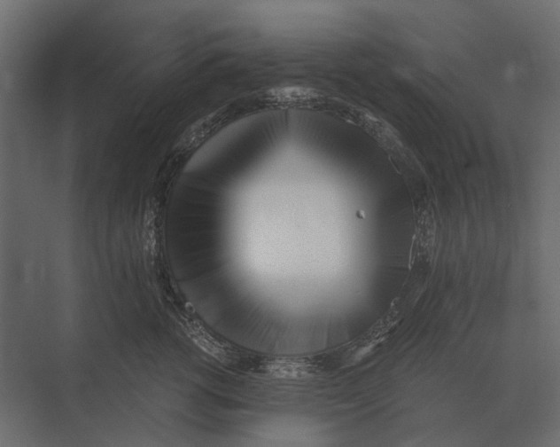 X0000073450762200608181238