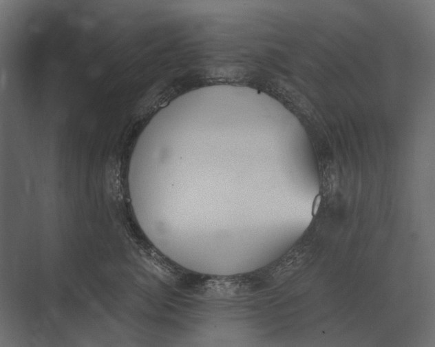 X0000073450764200608181238